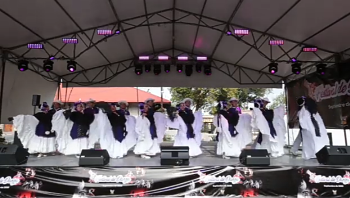 Arranca Expo Virtual Academias de Danza de Hidalgo