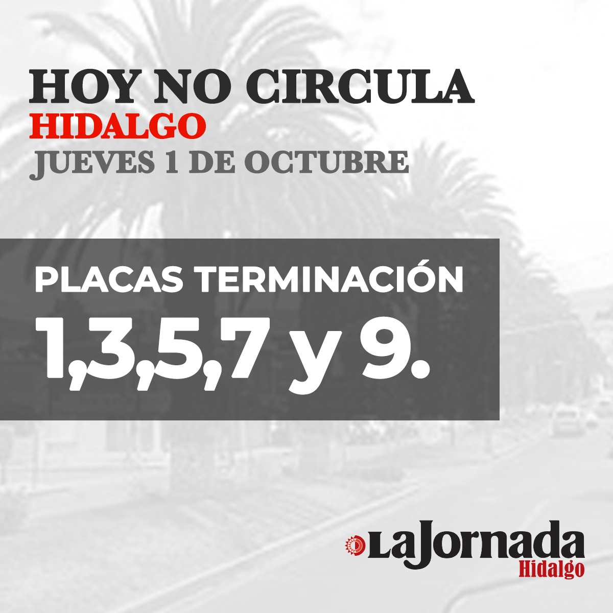 Hoy No Circula Hidalgo 03 Octubre