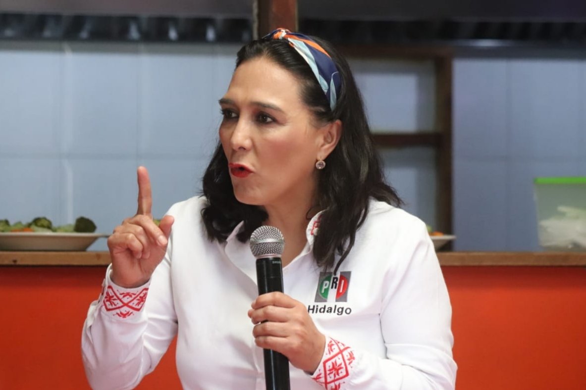 Erika Rodríguez PRI estatal