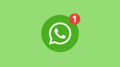 Cuáles son y cómo te afectarán los nuevos términos de WhatsApp